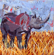 Save Our Rhino’s